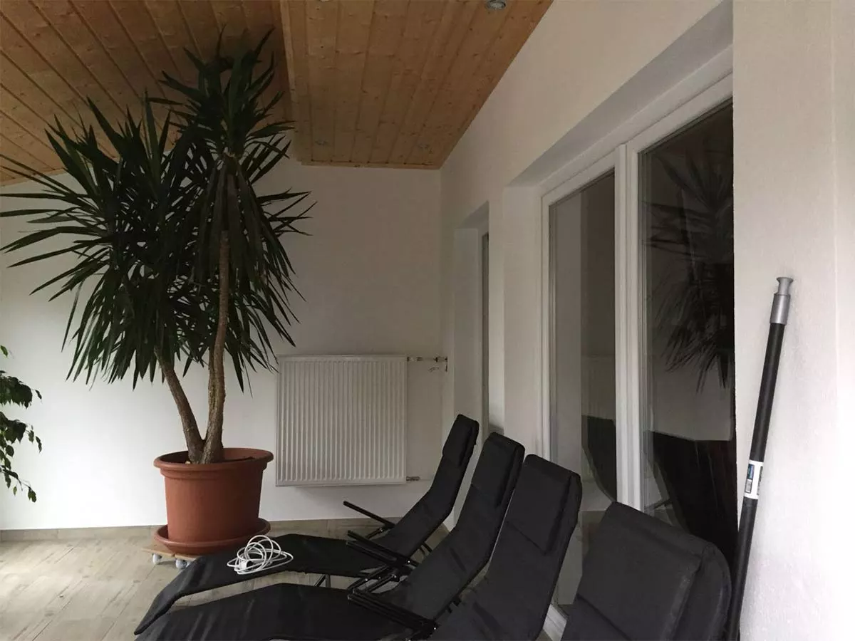 Frisch gestrichener Innenraum mit großer Zimmerpflanze und Liegestühlen