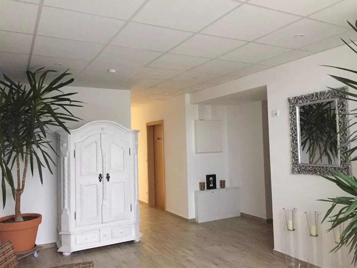 Frisch gestrichener Innenraum mit weißem Holzschrank und großer Zimmerpflanze